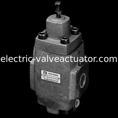 good price HG.HT.H Type HG -06-A-4   Pressure Control Valves  releif  valve thread connection online
