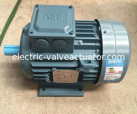 good price 380V IP55 NEMA Enclosure M2BA Series Flang Foot Mounted 3 Phase AC Electric Motors for Heavy-Duty Applications online