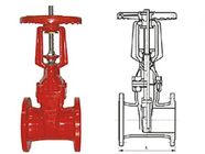 Ductile cast iron RRHX rising stem resilient seated gate valve for fire protection API 598
