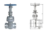 DS / Z64H Pipeline Cast steel gate valve water sealed by flange and welding