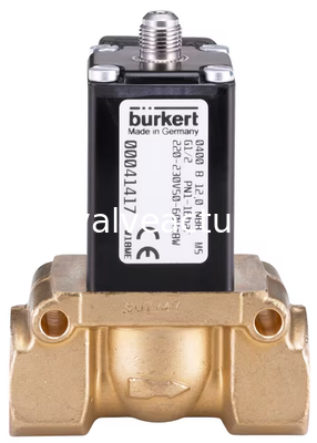 good price Burkert Type 0400 Servo-Controlled 2/2-Way Piston Valve for Automated Process Operations online